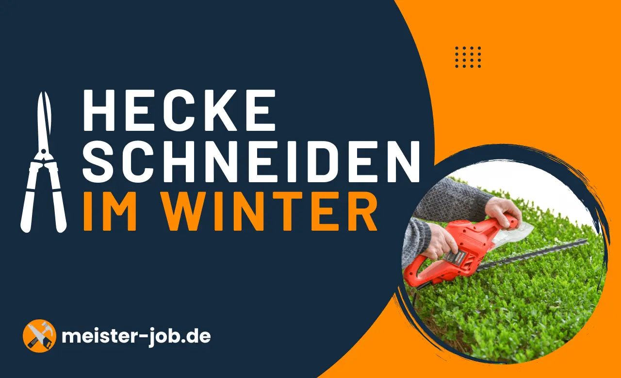 Hecke schneiden im Winter bei frostfreiem Wetter.