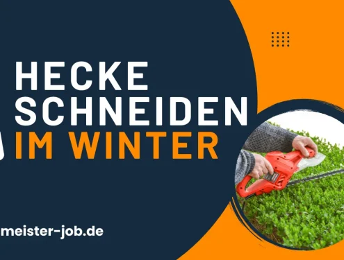 Hecke schneiden im Winter bei frostfreiem Wetter.